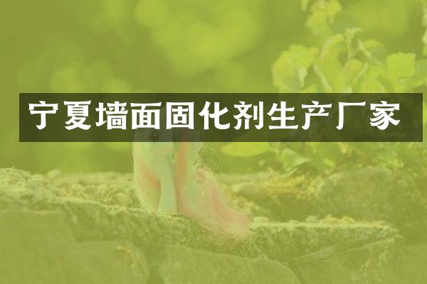 宁夏墙面固化剂生产厂家