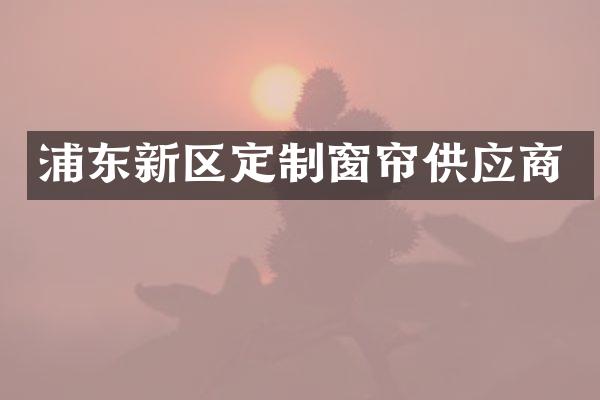 浦东新区定制窗帘供应商