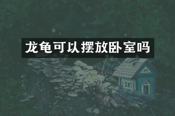 龙龟可以摆放卧室吗