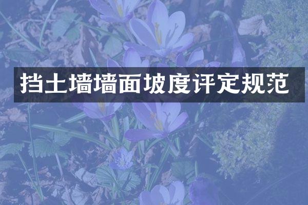 挡土墙墙面坡度评定规范