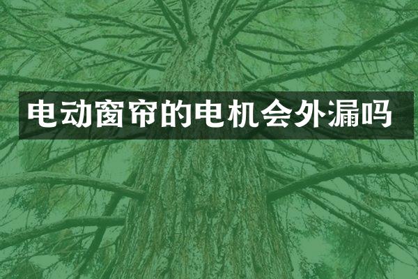 电动窗帘的电机会外漏吗