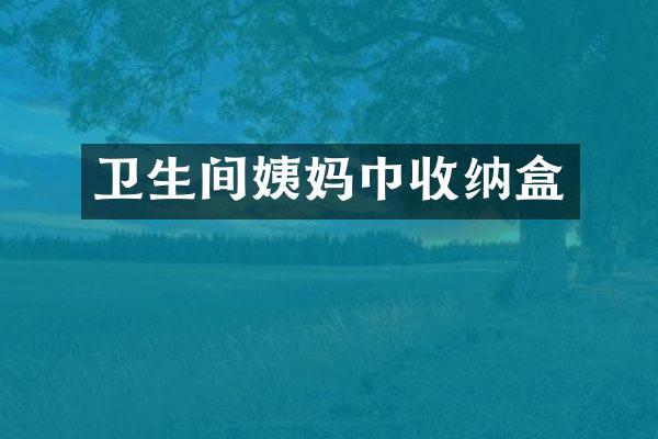 卫生间姨妈巾收纳盒