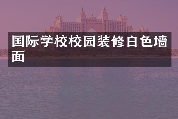 国际学校校园装修白色墙面
