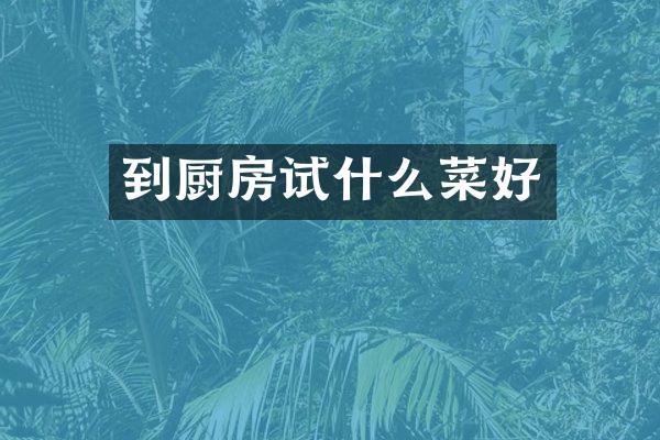 到厨房试什么菜好