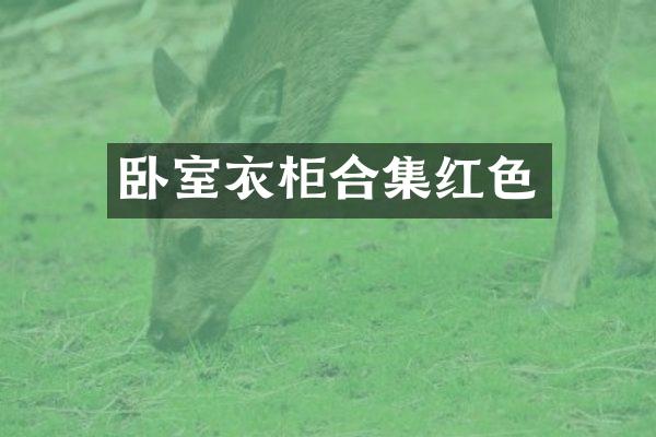 卧室衣柜合集红色