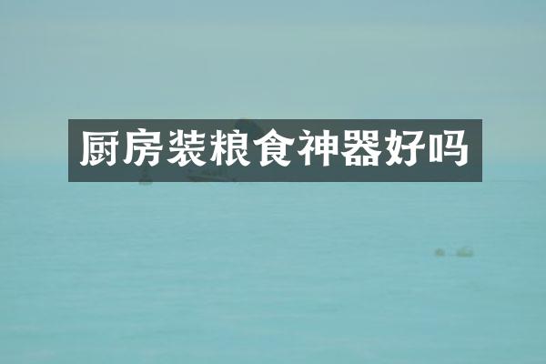 厨房装粮食神器好吗