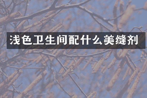 浅色卫生间配什么美缝剂