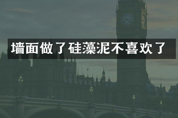 墙面做了硅藻泥不喜欢了