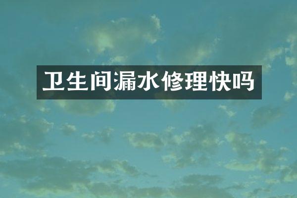 卫生间漏水修理快吗