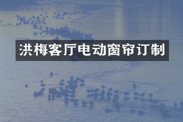 洪梅客厅电动窗帘订制