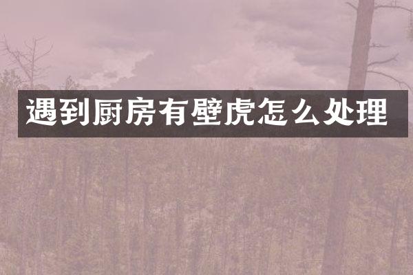 遇到厨房有壁虎怎么处理