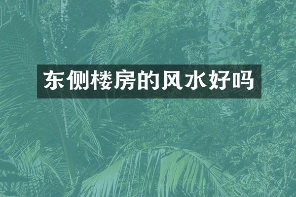 东侧楼房的风水好吗