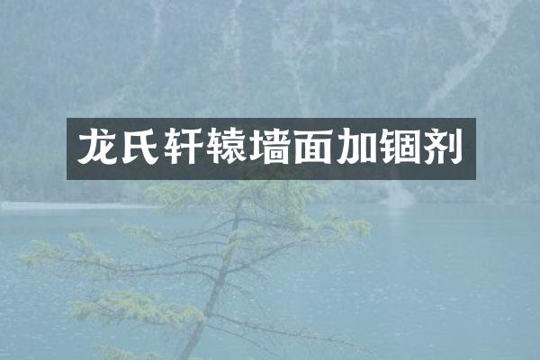 龙氏轩辕墙面加锢剂