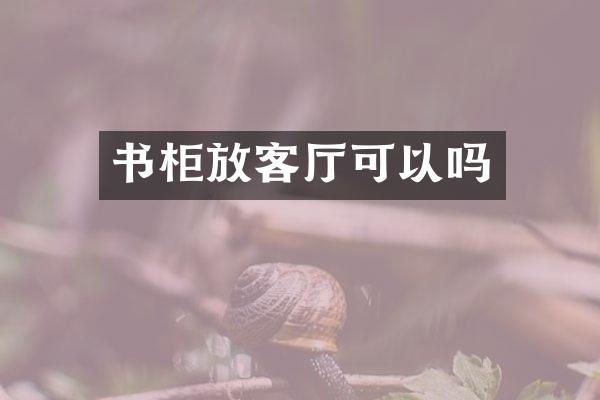 书柜放客厅可以吗