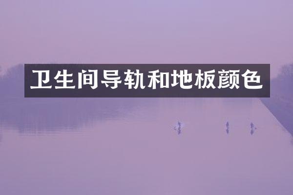 卫生间导轨和地板颜色