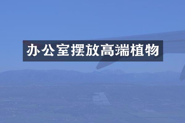 办公室摆放高端植物