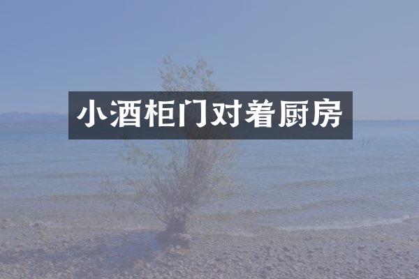 小酒柜门对着厨房