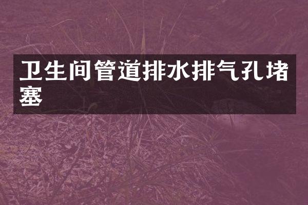 卫生间管道排水排气孔堵塞