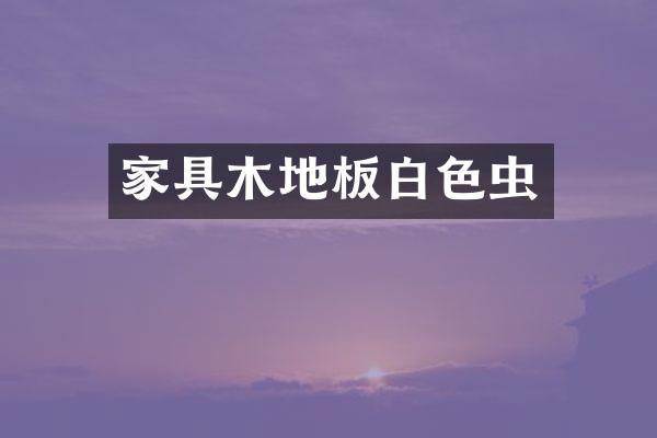 家具木地板白色虫