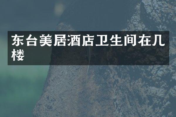 东台美居酒店卫生间在几楼