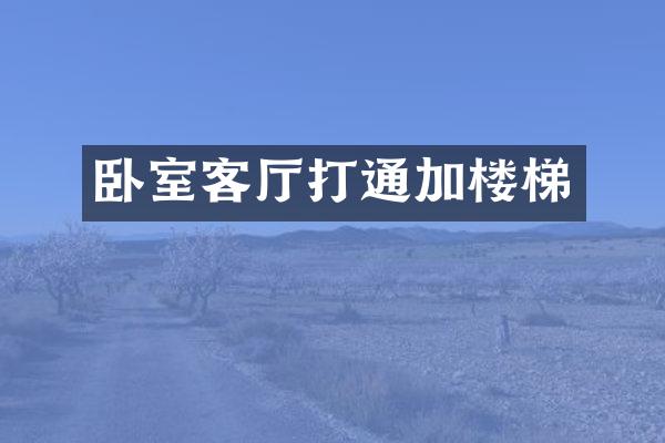 卧室客厅打通加楼梯