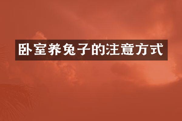 卧室养兔子的注意方式