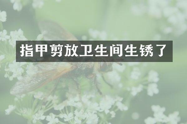 指甲剪放卫生间生锈了