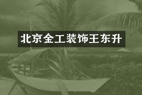 北京金工装饰王东升