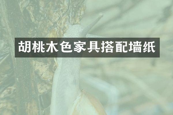 胡桃木色家具搭配墙纸