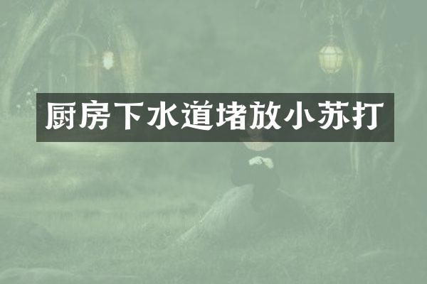 厨房下水道堵放小苏打