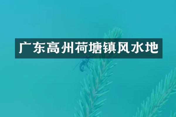 广东高州荷塘镇风水地