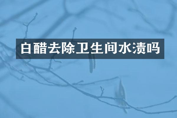 白醋去除卫生间水渍吗