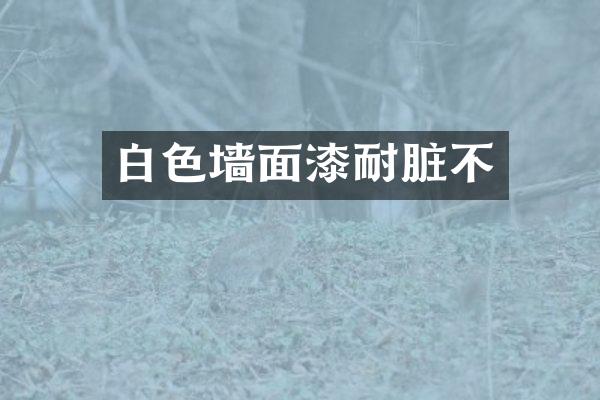 白色墙面漆耐脏不