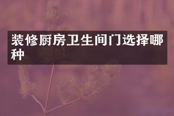 装修厨房卫生间门选择哪种