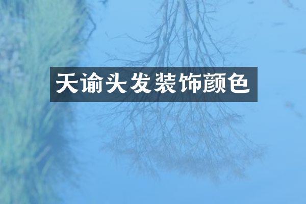 天谕头发装饰颜色