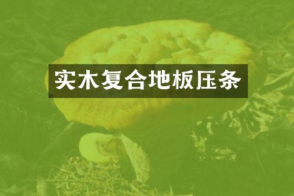 实木复合地板压条