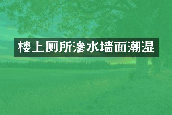 楼上厕所渗水墙面潮湿