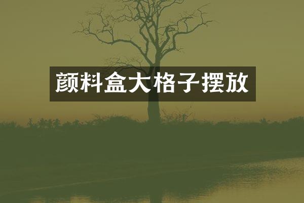 颜料盒大格子摆放