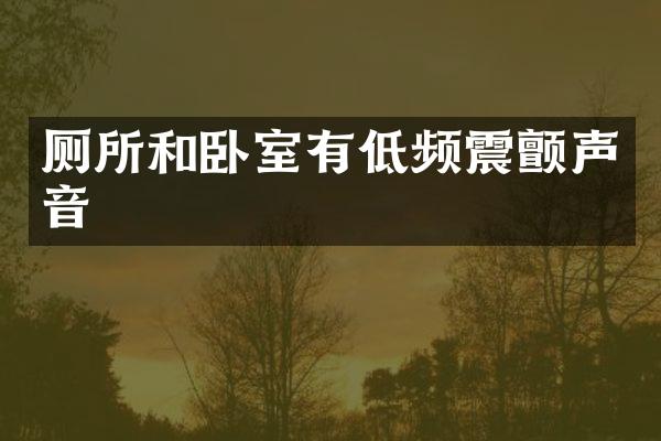 厕所和卧室有低频震颤声音