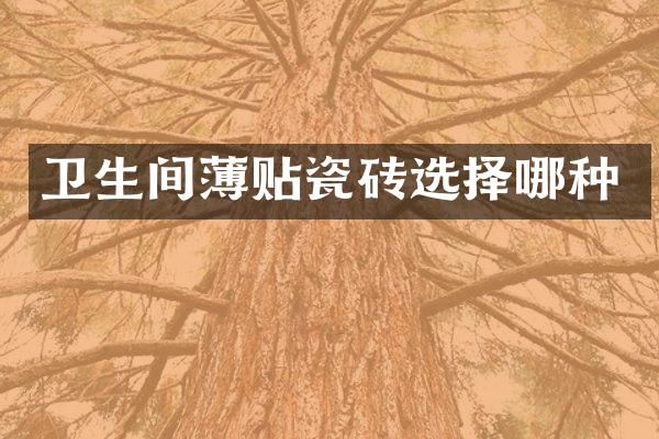 卫生间薄贴瓷砖选择哪种