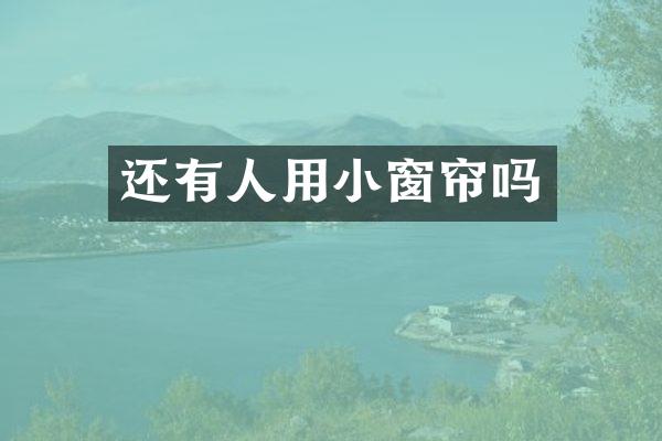 还有人用小窗帘吗