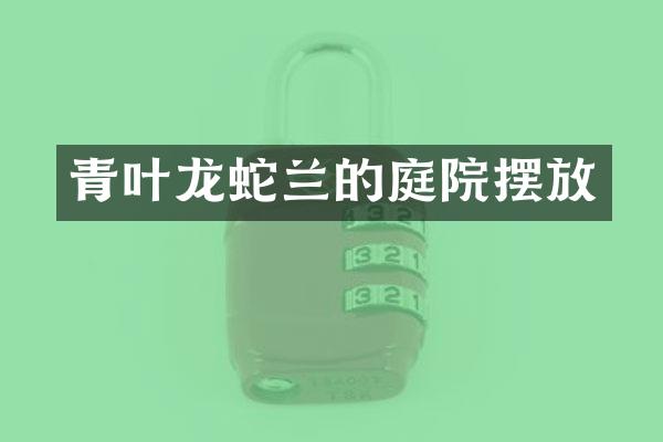 青叶龙蛇兰的庭院摆放