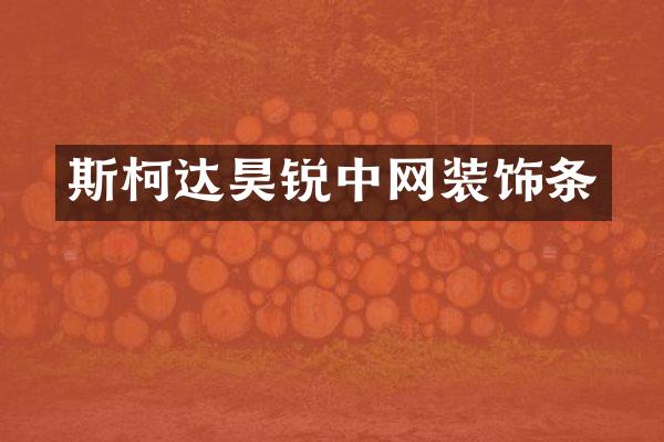 斯柯达昊锐中网装饰条