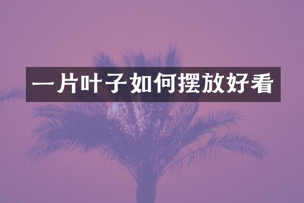 一片叶子如何摆放好看
