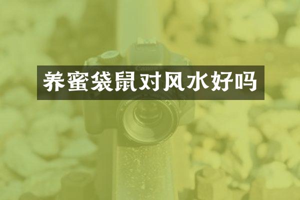 养蜜袋鼠对风水好吗