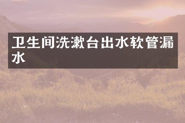 卫生间洗漱台出水软管漏水