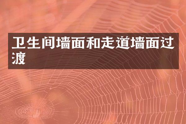卫生间墙面和走道墙面过渡