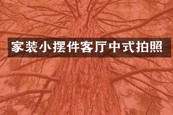 家装小摆件客厅中式拍照