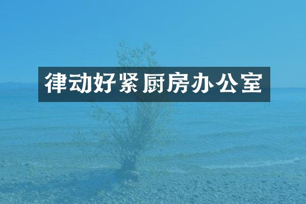 律动好紧厨房办公室