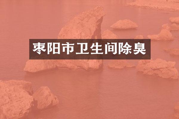 枣阳市卫生间除臭